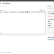 This is a picture of the WordPress Page Editor as it appears with no customizations from themes or plug-ins.